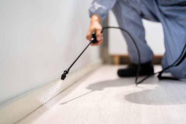 Licensed Fumigation Services service in Yell County County, AR - Nex Pest Control